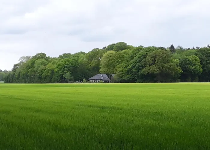 Heuerhaus Gut Einhaus Feriehus *